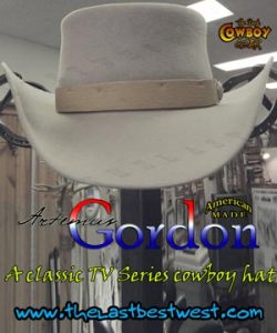 Wild Wild West Cowboy Hat