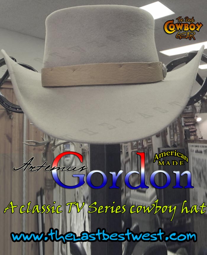 Wild Wild West Cowboy Hat